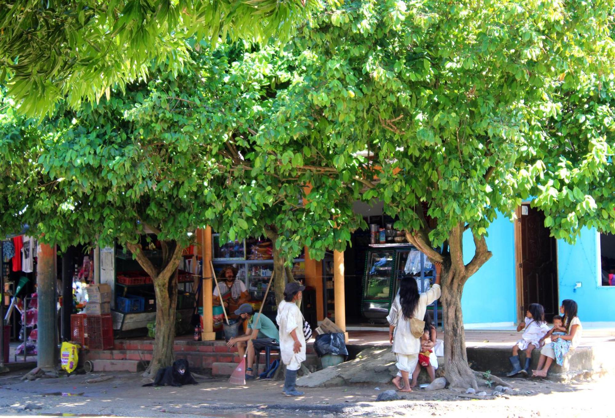 Bella Flor Hostel Palomino Buitenkant foto